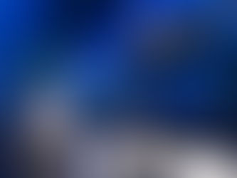 Perth's Most Unique Christmas Dining Experience: Dine Beneath the Sea