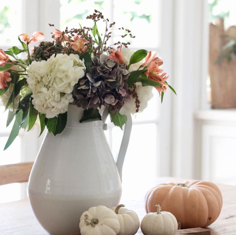 Visit your local grocer for fall flowers and keep your favorite vase filled all Fall!