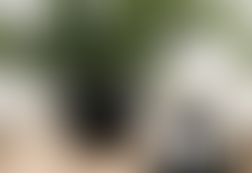 Simple Christmas Greenery Ideas For Your Guest Bath