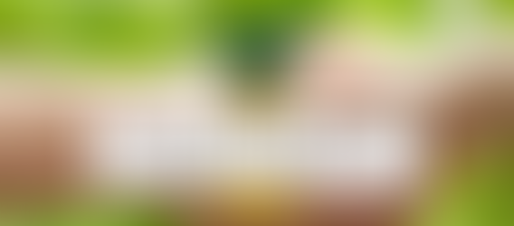 Scott Jacobs Joins Green Crown Real Estate