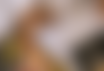 6 Romantic Bed & Breakfasts In Michigan