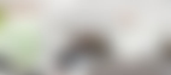 Freshen Your Walls This Fall With White