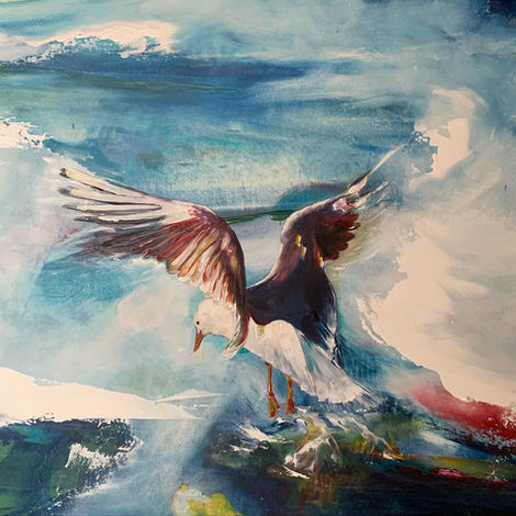 Seagulls' Ballet