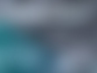 custom software development