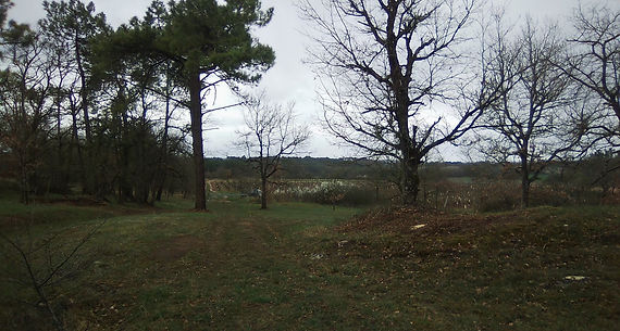 IMG_20190318_164252.jpg