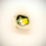 California cheese avocat concombre