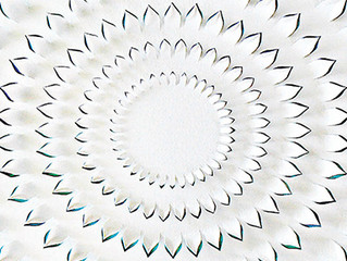 Christian Wistehuff Profiled in Northwestern University Weinberg College of Arts and Sciences Alumni