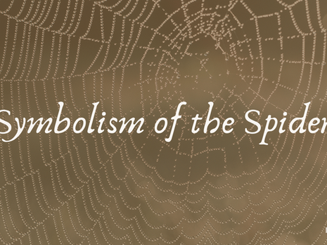 Symbolism of the Spider