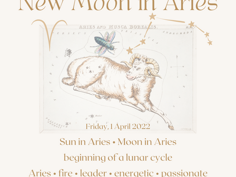 new moon in aries