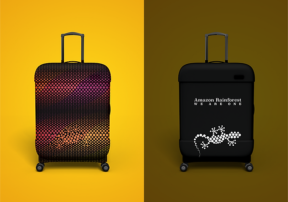 Day & Night collection.png