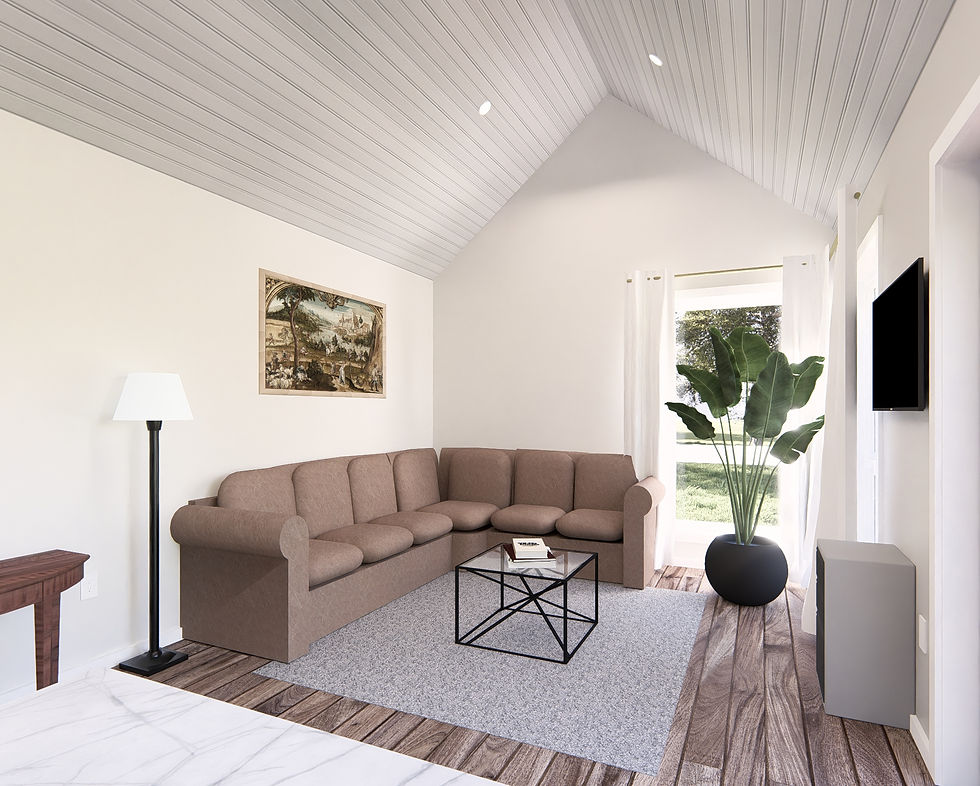 Living Room 1