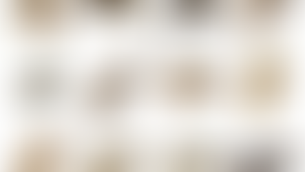 Bxianuran generation