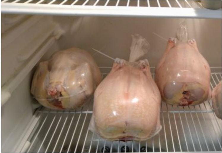 Frozen Freedom Ranger Chickens