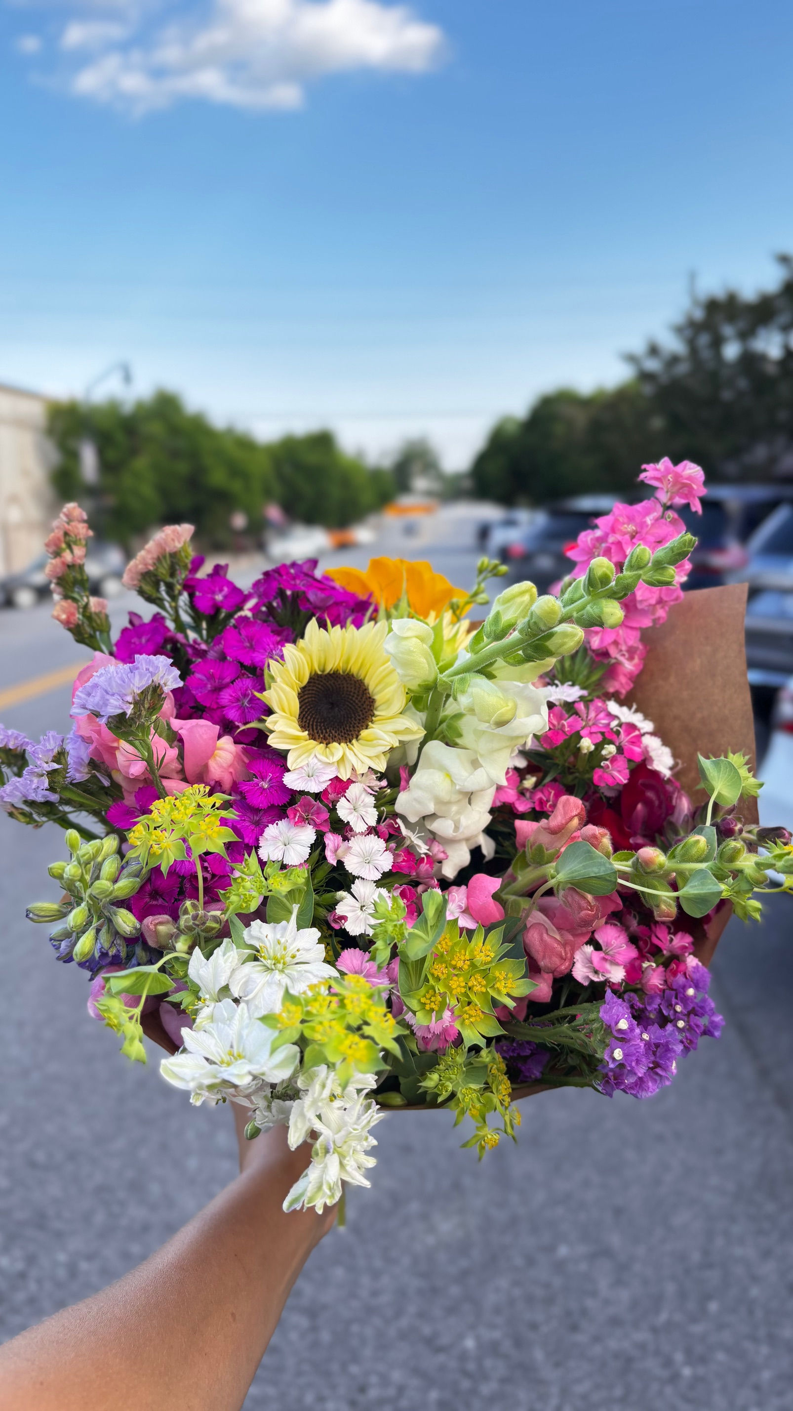 on the streets of cheraw South Carolina our flowers are welcome