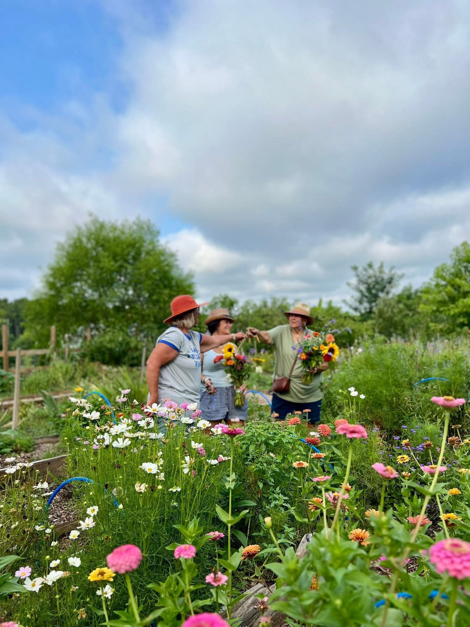 picking your own flowers experience u-pick with friends