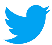 twitter logo.png