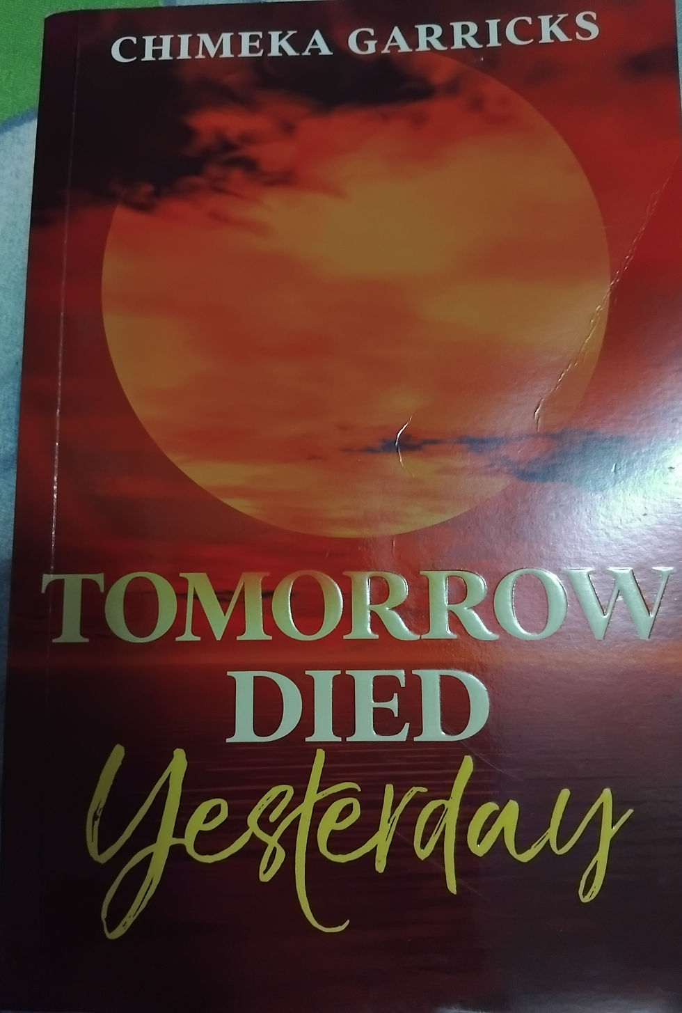Chimeka Garricks novel. Book. Fiction. Story. Niger Delta. Nigeria.