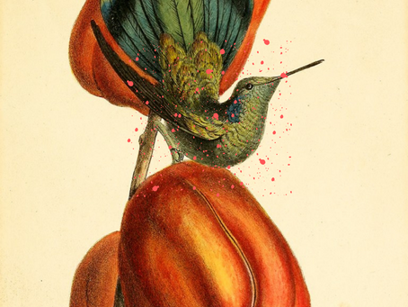 Poems; fruit and a bird