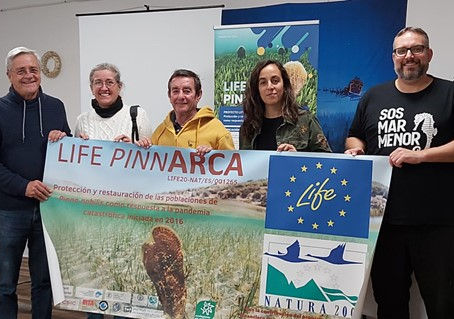 2022 Follow up of the Murcian Region actions in the Mar Menor