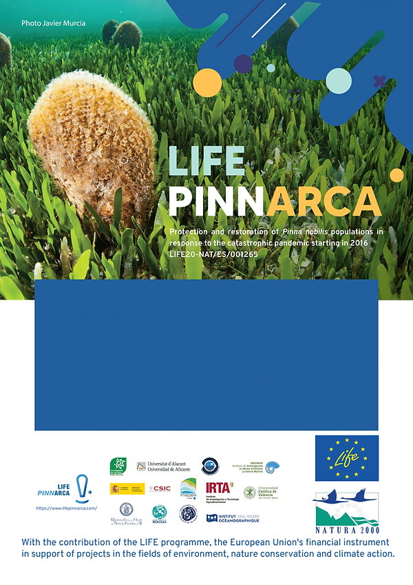 Cartel Pinnarca_EN-1.png