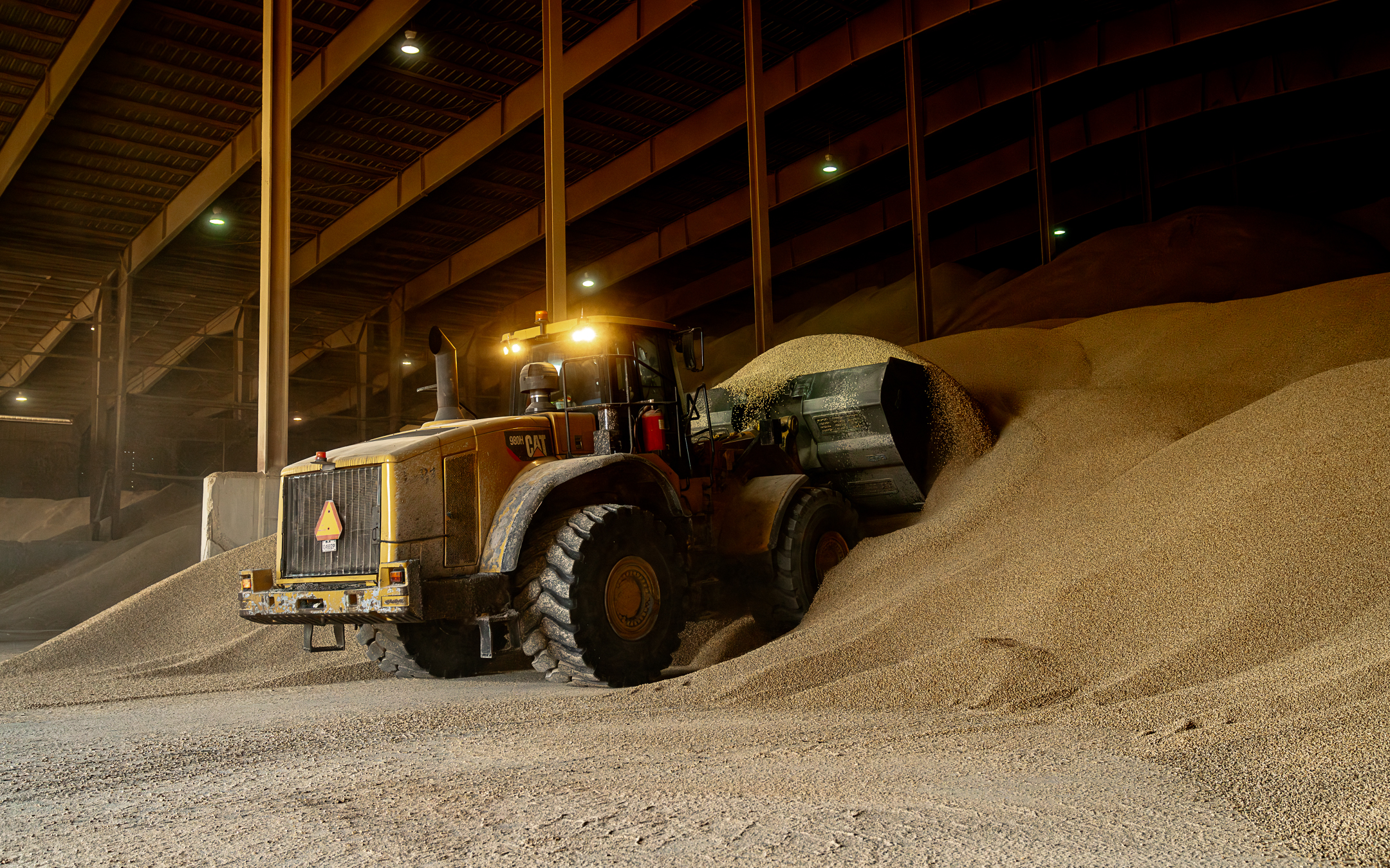 Q1 BIOMASS PHASE 1 WEB-18.jpg