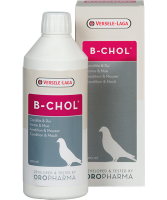 B-chol - Tonique de foie – Soutien hépatique & mue-Pigeons
