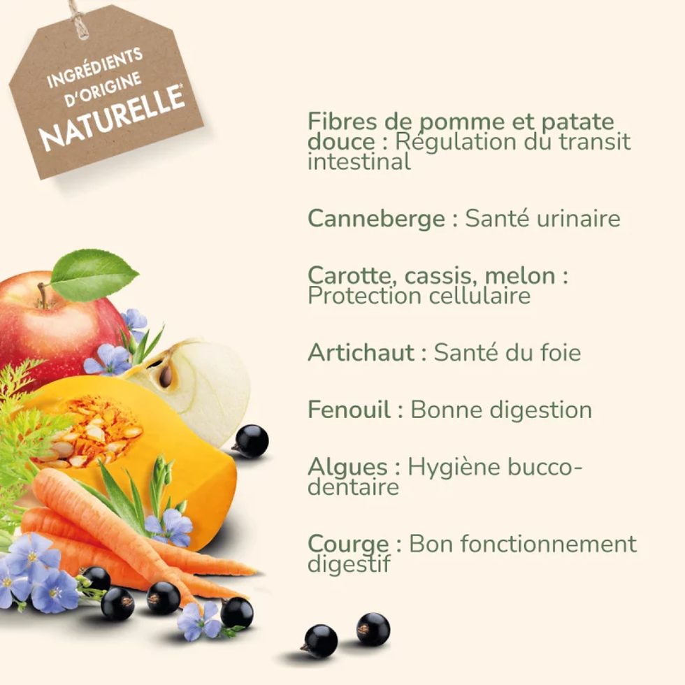 Miniature : PRO-NUTRITION Pure Life Sans Céréales pour chiens adultes