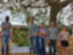 imagem de campo