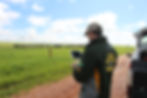 imagem de campo