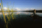 fb cover.jpg