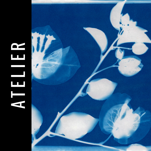 ATELIER - Cyanotype avec l'artiste Marie Ferland
