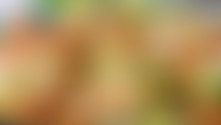 Shrimp and Avocado Salad with "Mi Cosecha Tostones"