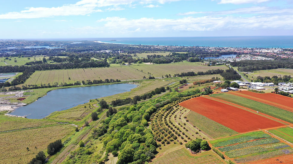 Cudgen Lakes Gales Kingscliff