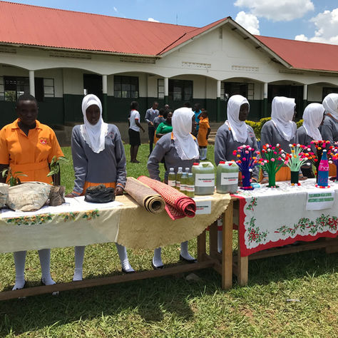 Working Together with PEAS (Promoting Equality in African Schools)