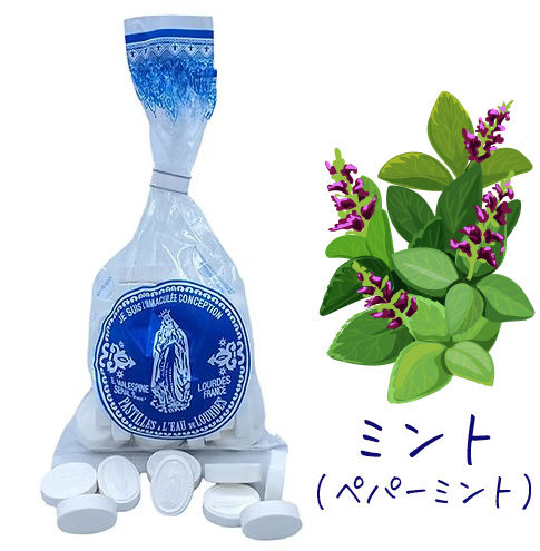 パスティーユ(キャンディ) ルルド 80g 平底サシェ リボンなし【ミント】