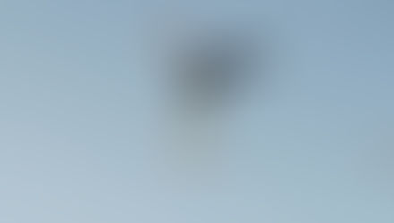 Coming Back To Whole Body Intelligence