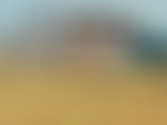 The ECO Home is in Line