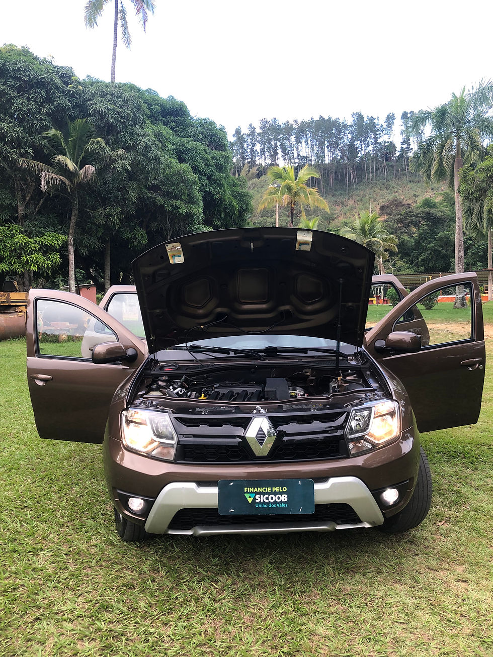 Miniatura: Renault/Duster Dynamique 1.6 2015/2016 - Manual