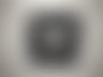 극장의 비유