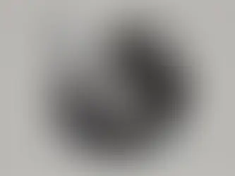 땅에서 넘어진 자