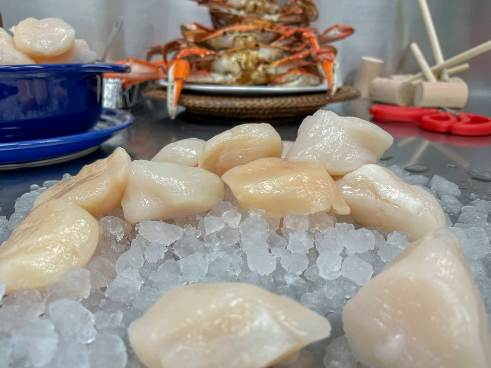 Maryland meets Nantucket!