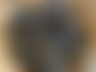 Blue Crabs, an Appetite for Destruction!