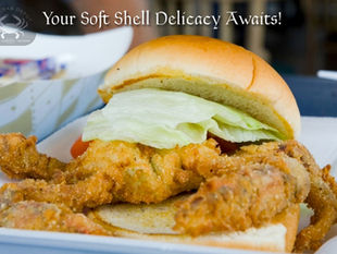 Your Soft Shell Delicacy Awaits