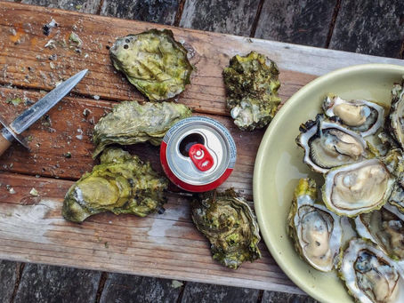What do Northeastern Oysters Taste Like?
