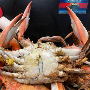 "New Feature" Maryland Blue Crab Express Constant Contact Email (Sent 7/29/24)