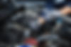 AdobeStock_495030243_edited.jpg