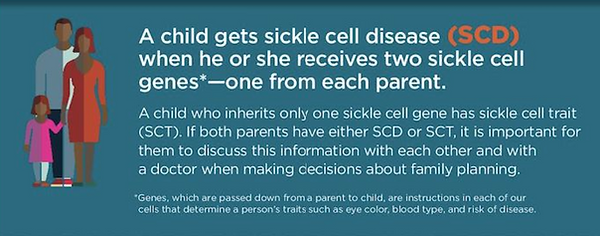 SCD Genetic