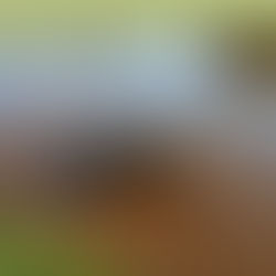 Rescheduled End of 2025 Season Event to Nov 4th