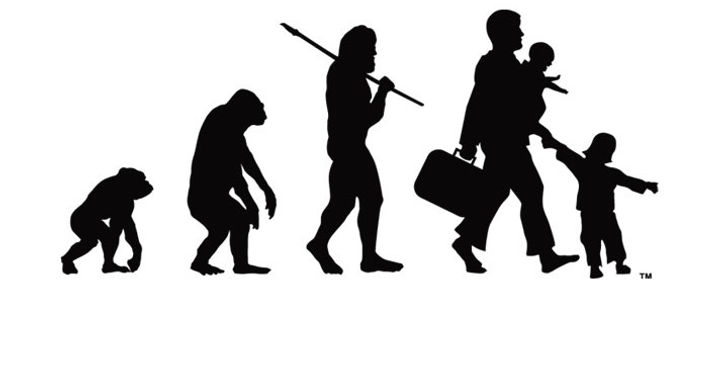 Evolutionedit.jpg