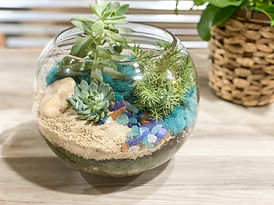 terrariumclass1.JPEG